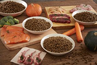 營養健康咨詢 2019年度寵物食品行業的核心盈利增長點