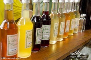 巴西甘蔗酒的品嘗方式與經營要點